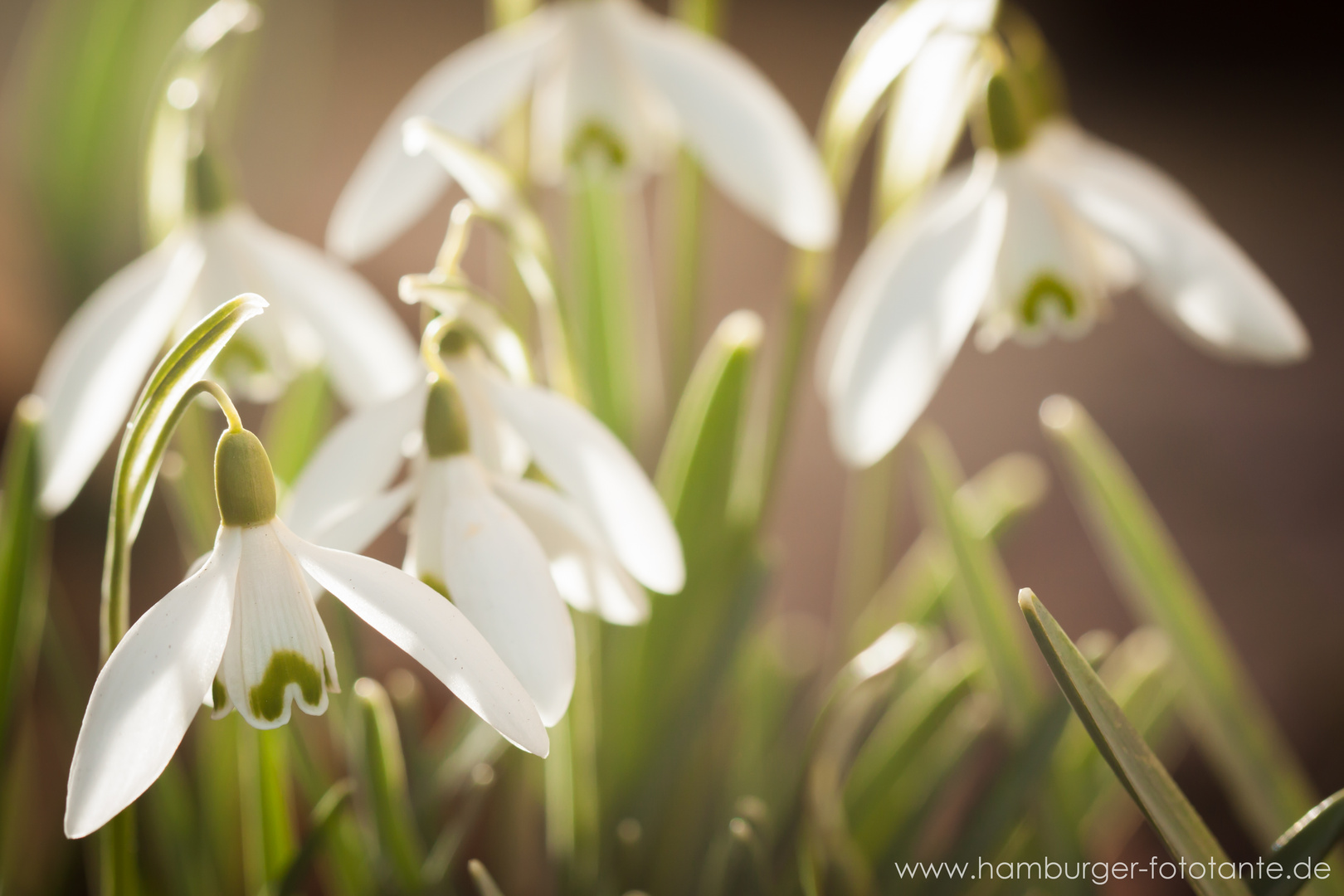 Warten auf den Frühling