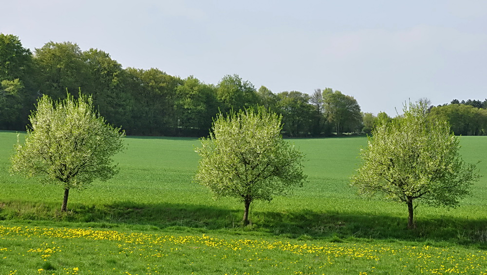 Warten auf den Frühling