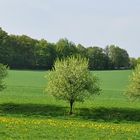 Warten auf den Frühling