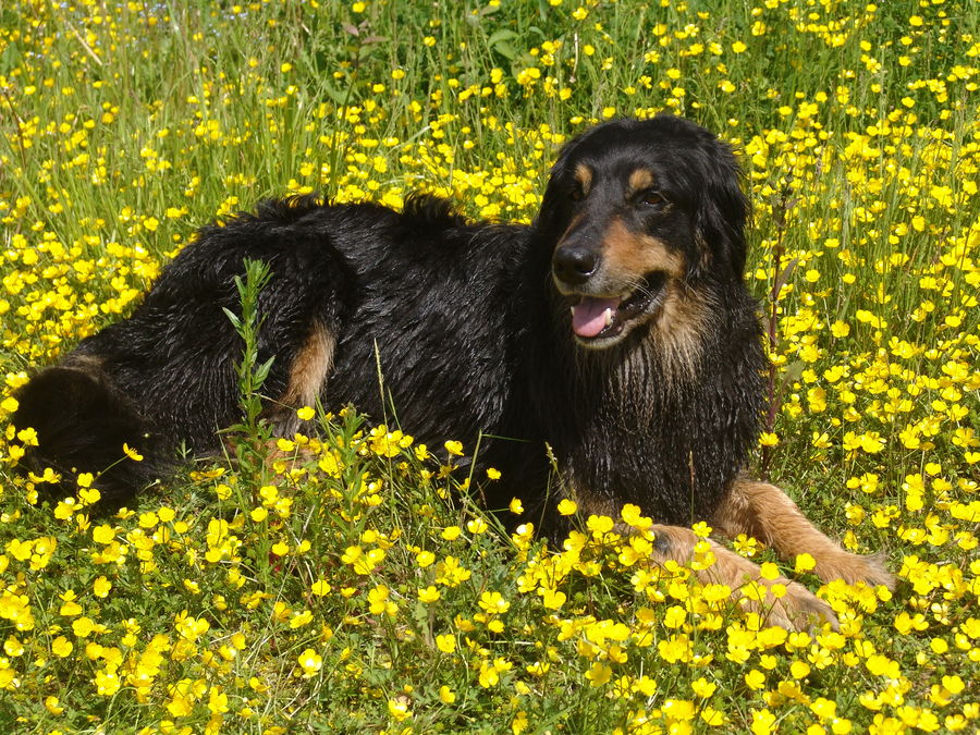 warten auf den Frühling