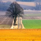 Warten auf den Frühling