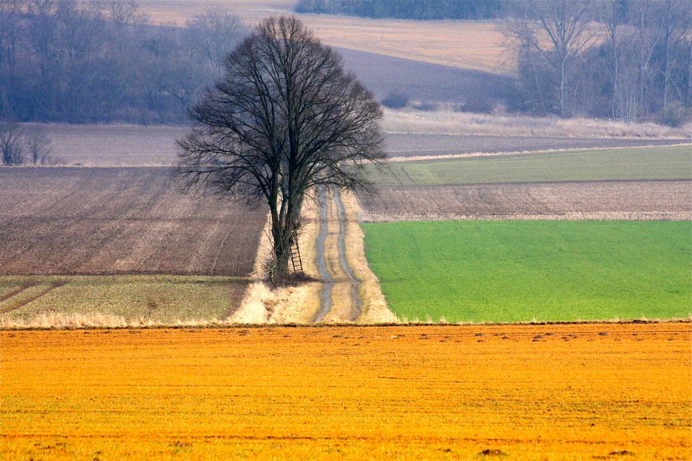 Warten auf den Frühling