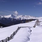 Warten auf den Frühling