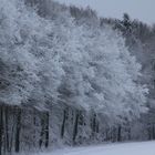 Warten auf den Frühling