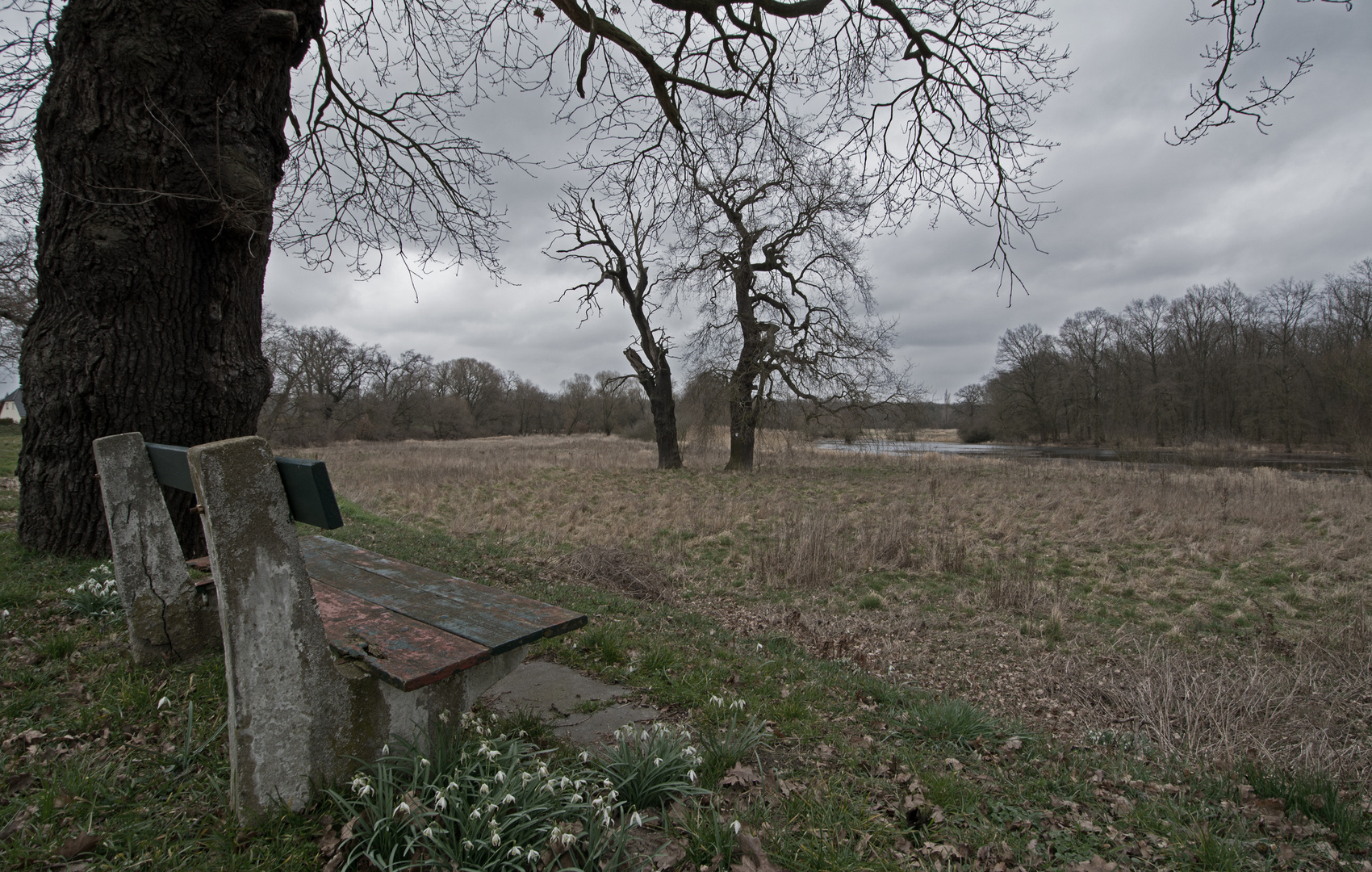 Warten auf den Frühling...