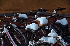 warten auf den Frühling in Halle/Saale