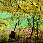 Warten auf den goldenen Oktober