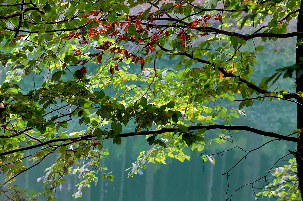 Warten auf den Herbst