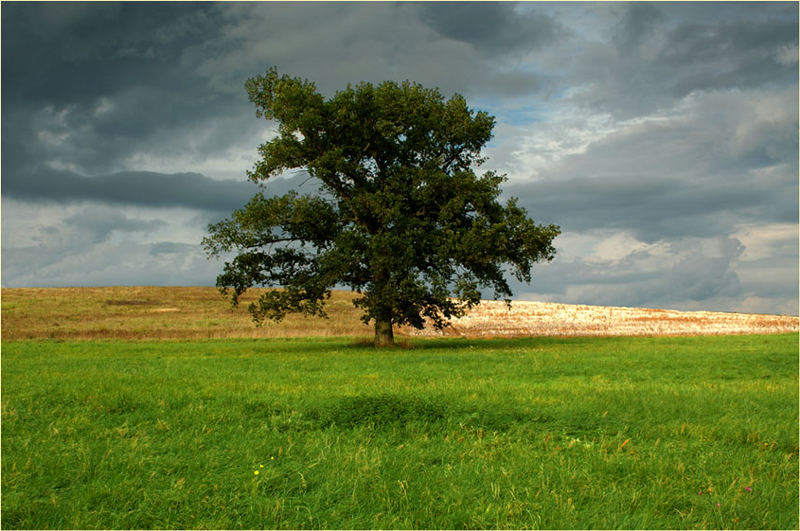 Warten auf den Herbst