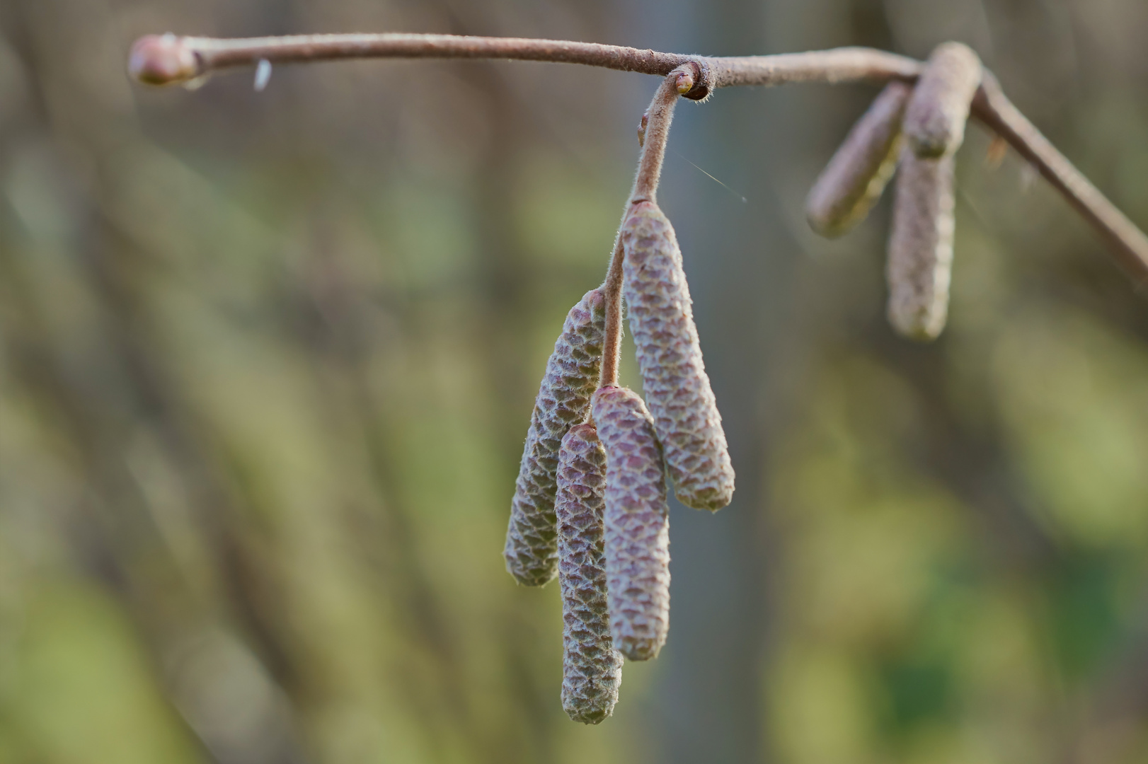 Warten auf den nächsten Frühling