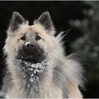 Warten auf den nächsten Schnee