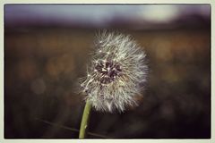 warten auf den nächsten Windstoss