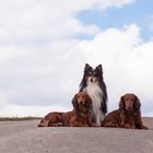 Warten auf den Osterhasen