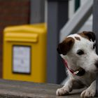 warten auf den Postboten