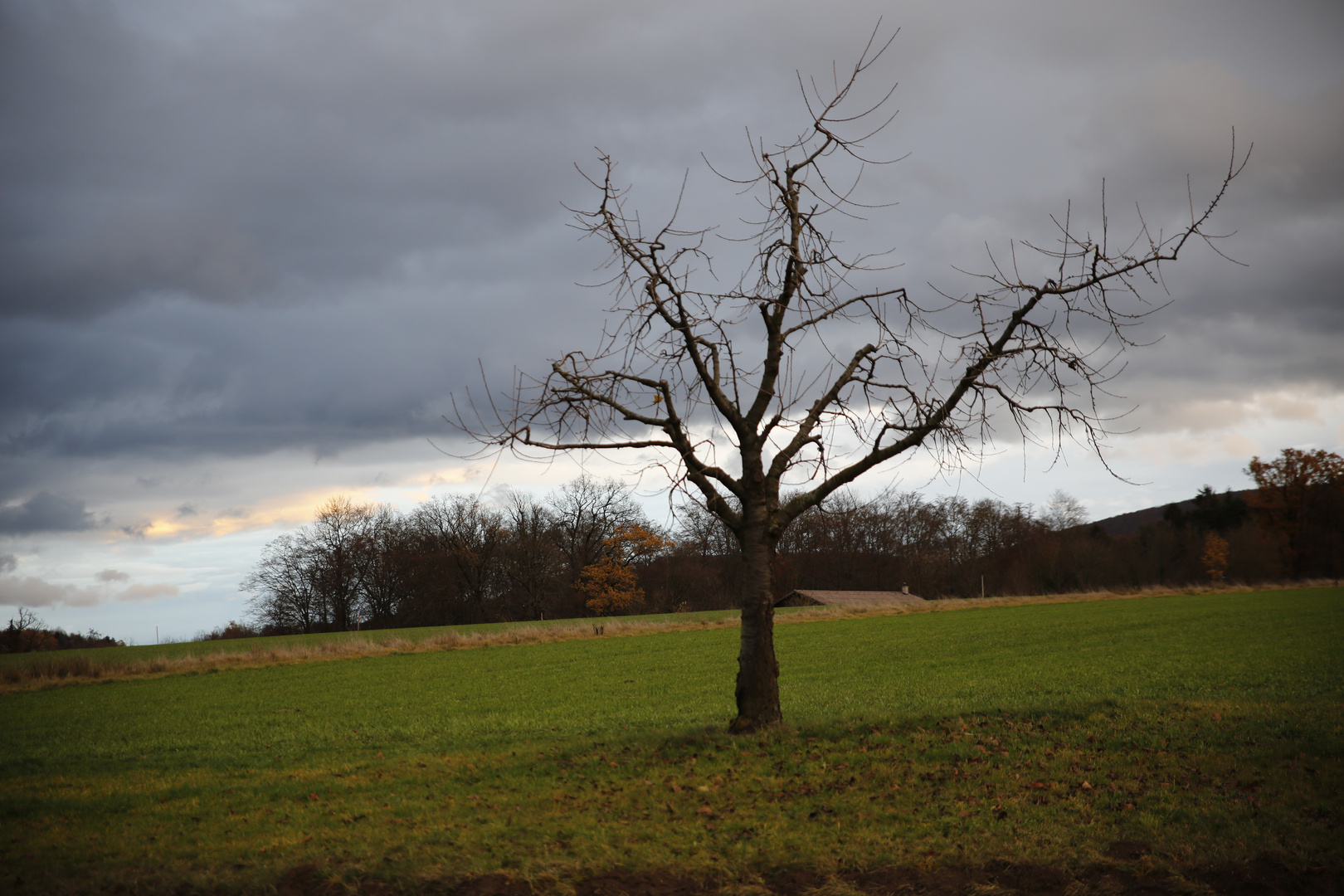 Warten auf den Regen 