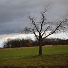 Warten auf den Regen 