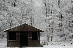 warten auf den Rentierschlitten des Nikolaus