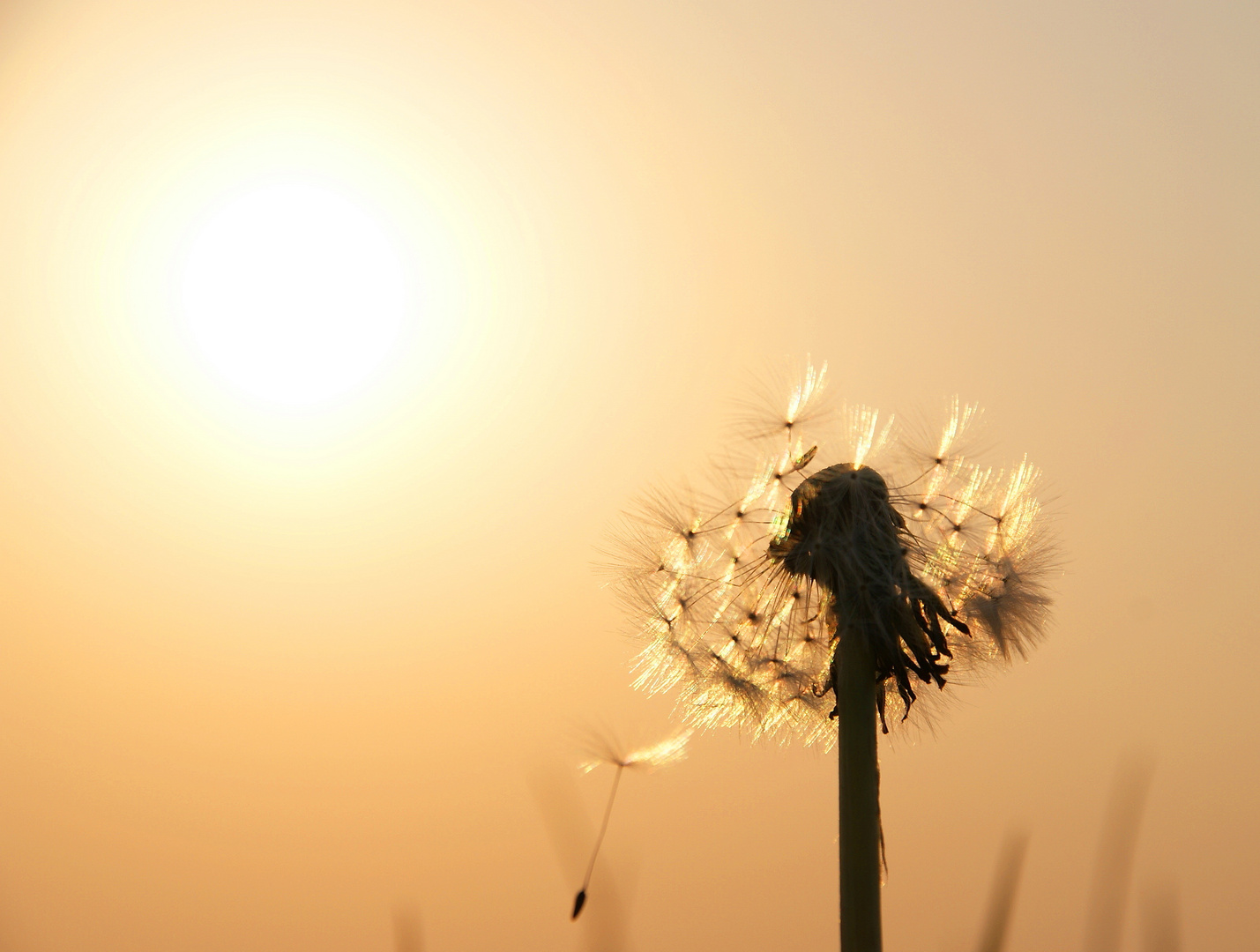 Warten auf den richtigen Wind