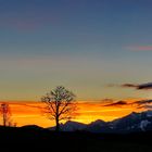 Warten auf den Schnee