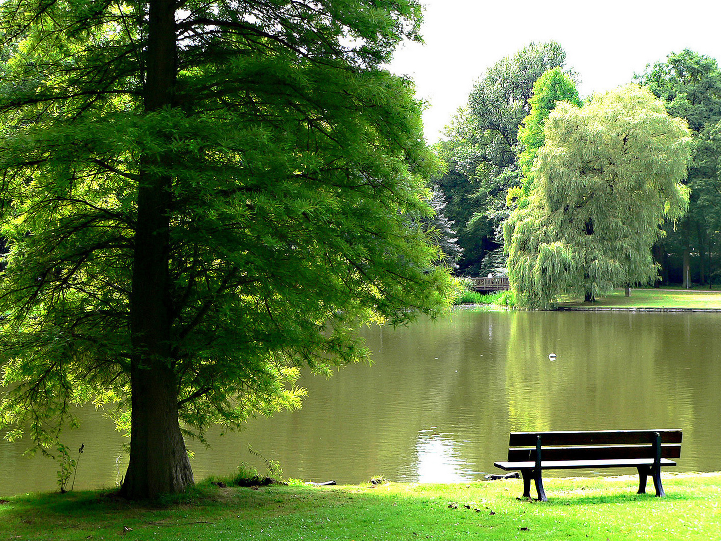 Warten auf den Schwan