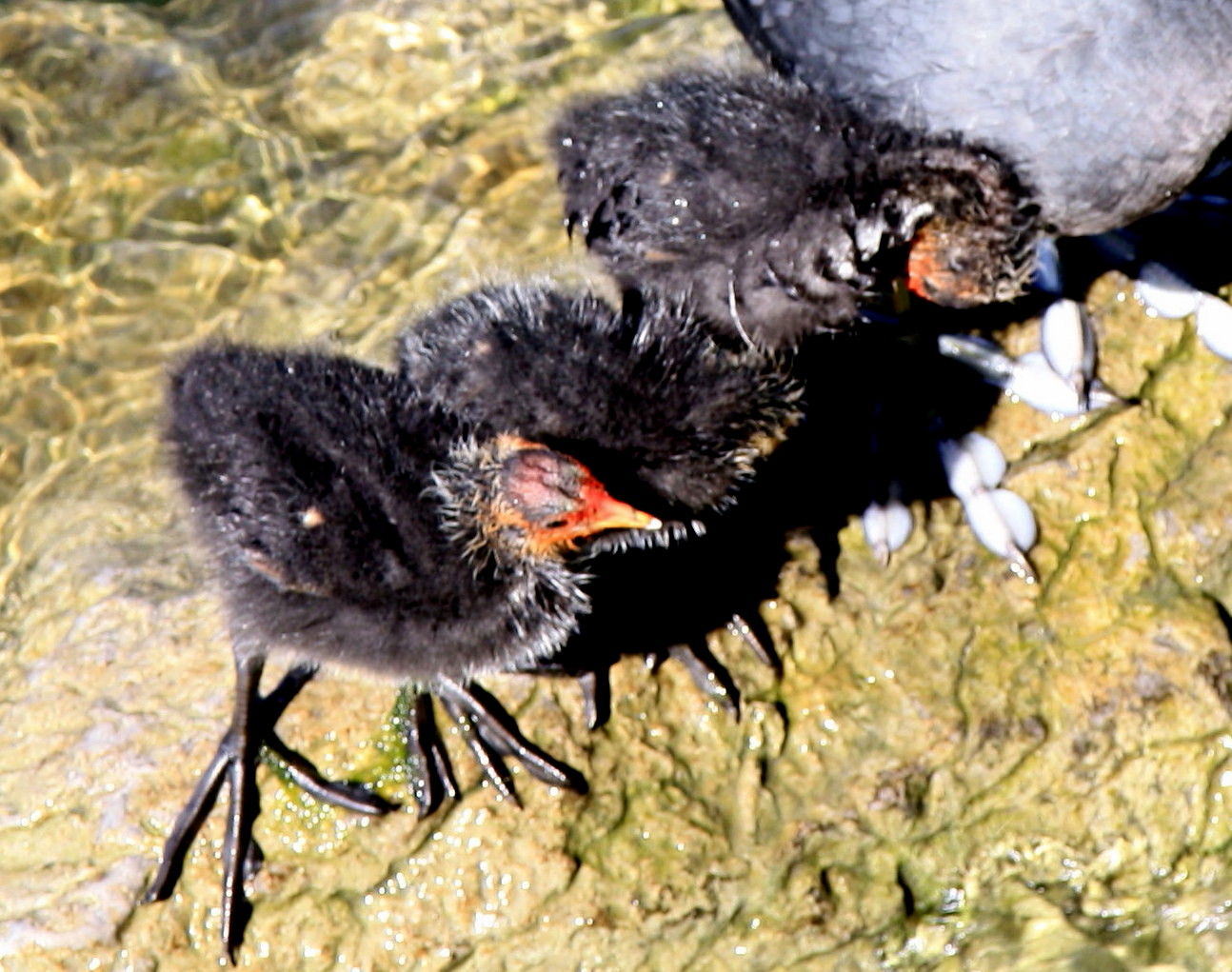 Warten auf den Schwimmunterricht