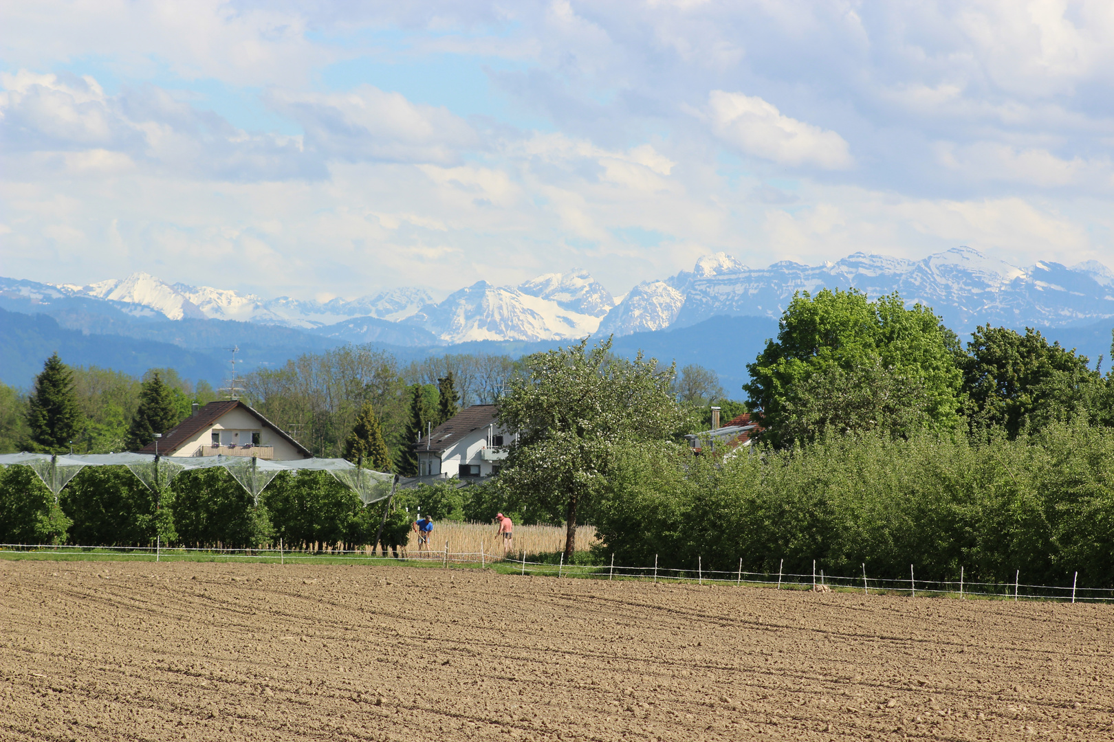 Warten auf den Sommer