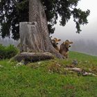 warten auf den Sommer