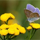 Warten auf den Sommer