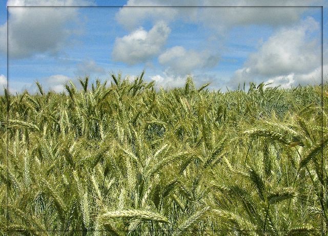 Warten auf den Sommer