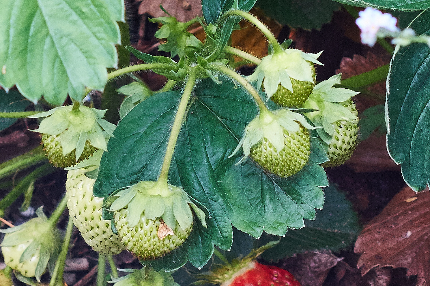 Warten auf den Sommer