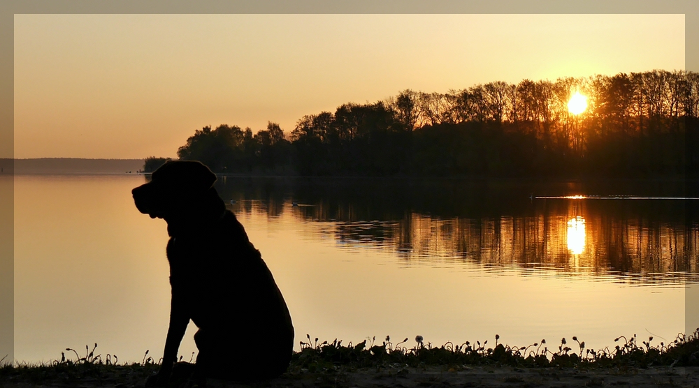  warten auf den Sonnenaufgang