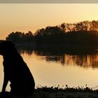  warten auf den Sonnenaufgang