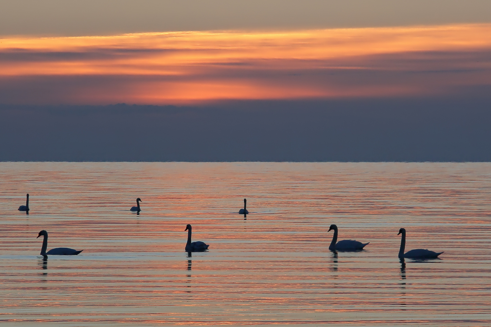 Warten auf den Sonnenaufgang  - awaiting the sunrise