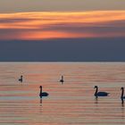 Warten auf den Sonnenaufgang  - awaiting the sunrise