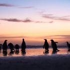 Warten auf den Sonnenaufgang