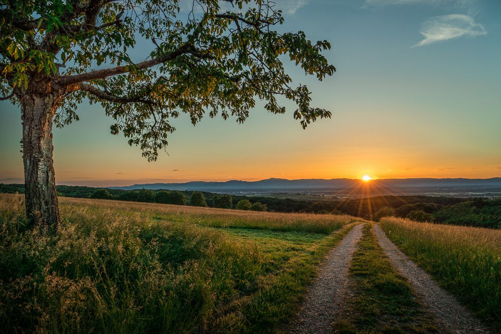 warten auf den Sonnenuntergang 04