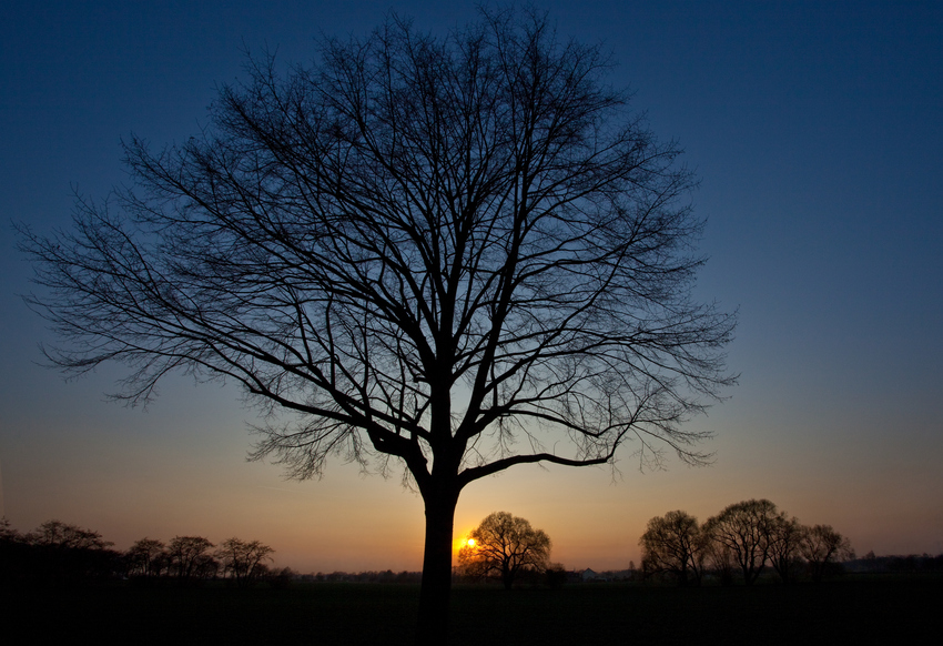 Warten auf den Sonnenuntergang