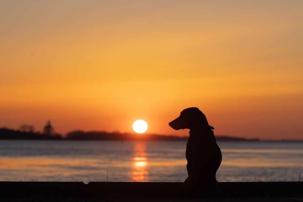 Warten auf den Sonnenuntergang