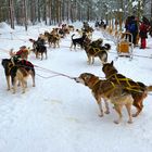 Warten auf den Start