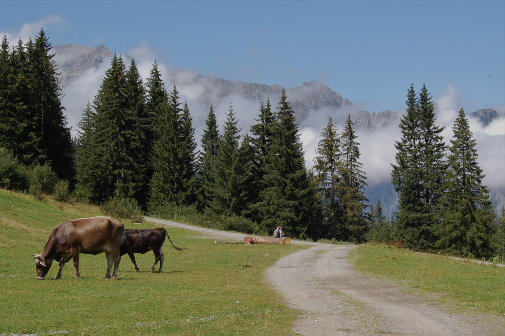 Warten auf den Wanderbus an der Mittelstation der Golmerbahn