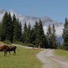 Warten auf den Wanderbus an der Mittelstation der Golmerbahn