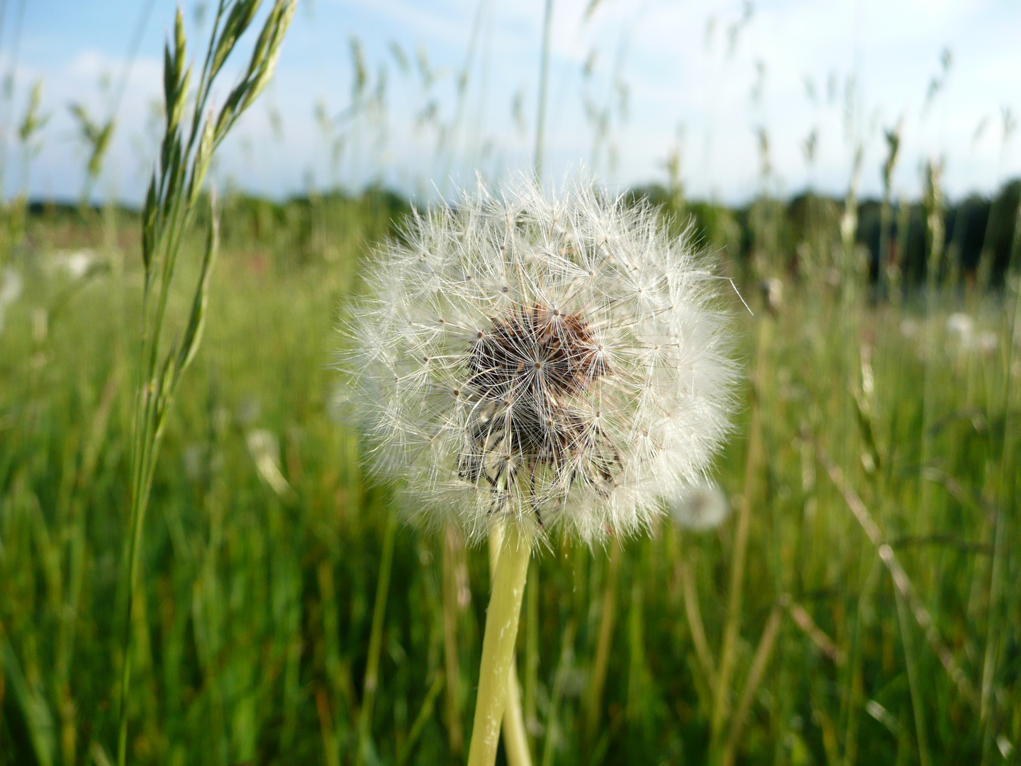 Warten auf den Wind....