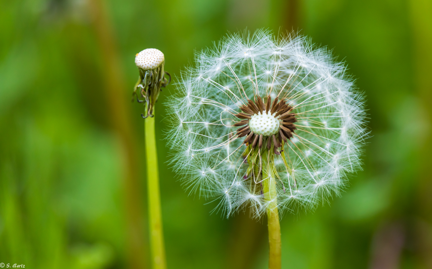 Warten auf den Wind