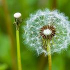 Warten auf den Wind