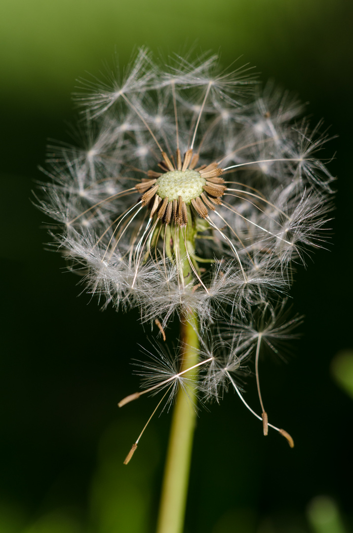 Warten auf den Wind