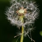 Warten auf den Wind