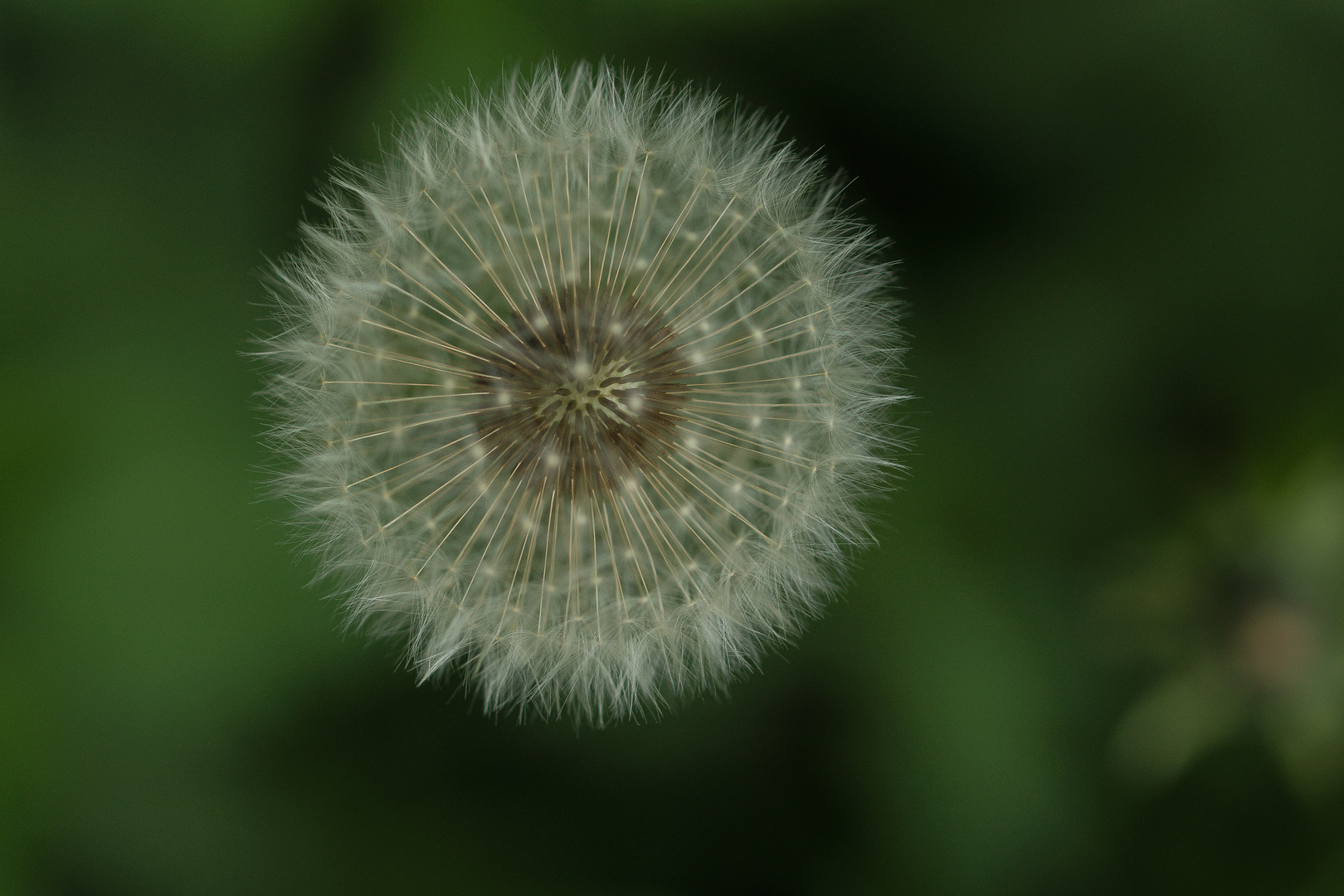 Warten auf den Wind