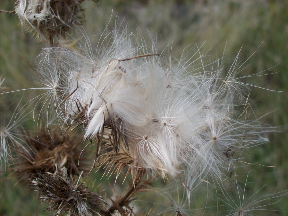 Warten auf den Wind