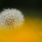 Warten auf den Wind