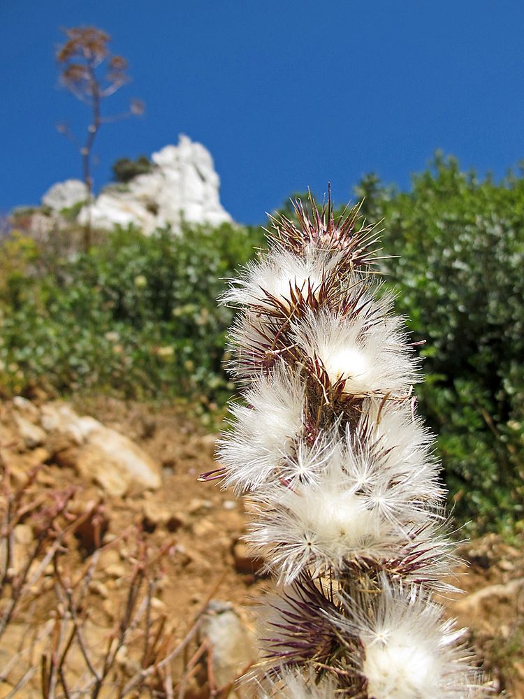 Warten auf den Wind / Aspettare al vento